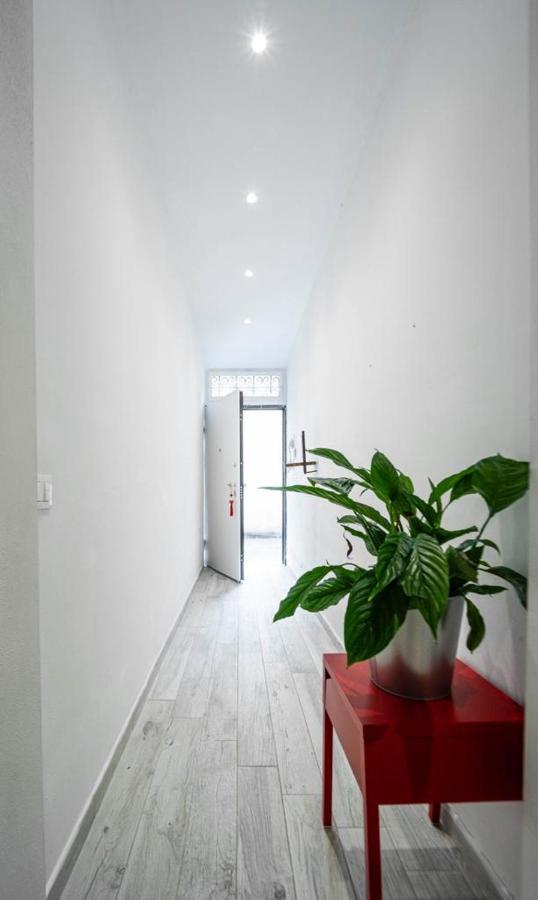 Puccinotti House Apartment Florence Ngoại thất bức ảnh