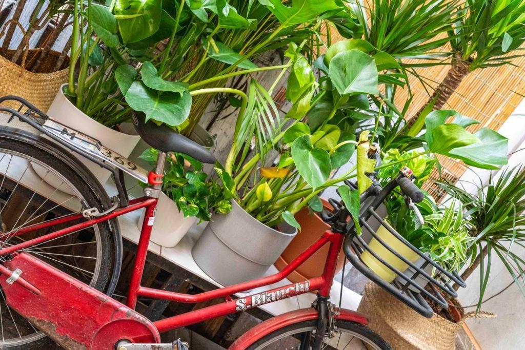 Puccinotti House Apartment Florence Ngoại thất bức ảnh