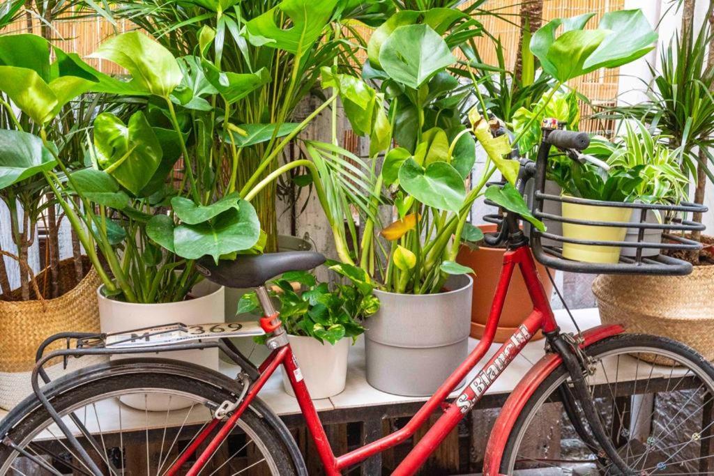Puccinotti House Apartment Florence Ngoại thất bức ảnh